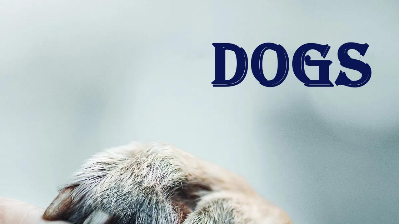 مسلسل Dogs الموسم الاول الحلقة 1 الاولي مترجمة